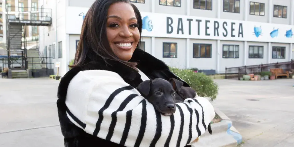 Battersea Dogs & Cats Home | Battersea Dogs & Cats Home